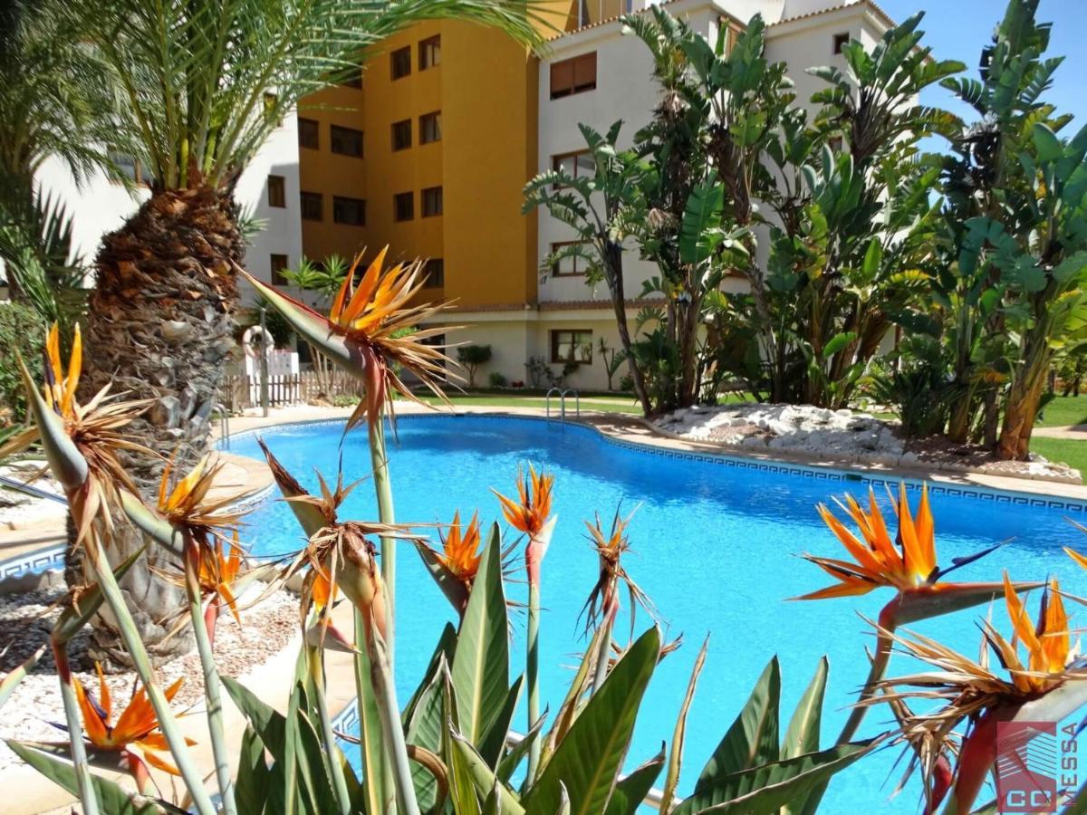 Apartamento Eleonor, La Entrada, Punta Prima, טורבייחה מראה חיצוני תמונה